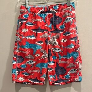 GAP - boys swim trunks, bathing suit.  Shark / fish print.  Size boys XL